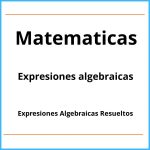 Ejercicios De Expresiones Algebraicas Resueltos Pdf